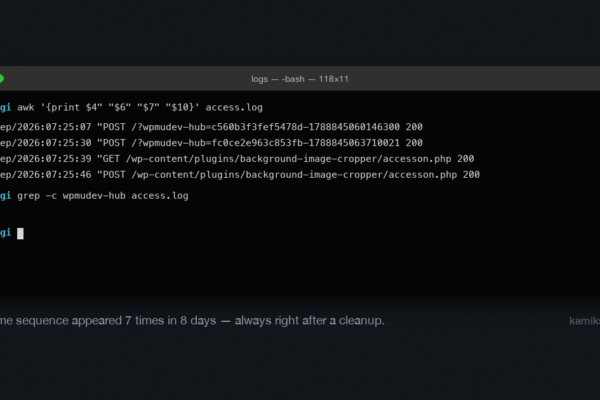 Terminal window with a server log: two POST requests to a plugin endpoint followed by a web shell
