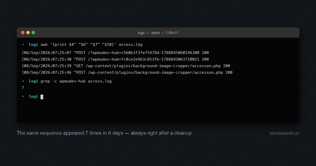 Terminal window with a server log: two POST requests to a plugin endpoint followed by a web shell